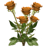 Floral Trimmings